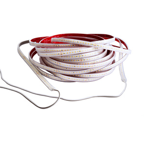 LED Stripes ab IP44 bei Elektro- Anlagen- Service GmbH in Lutherstadt Wittenberg